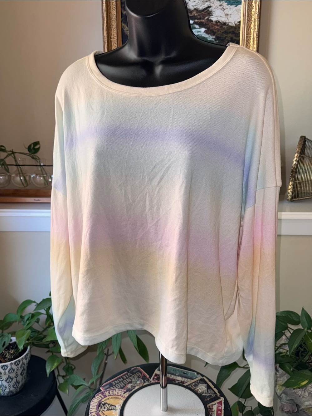 Z Supply Pastel Tie-Dye Scoop Neck Long Sleeve Top
